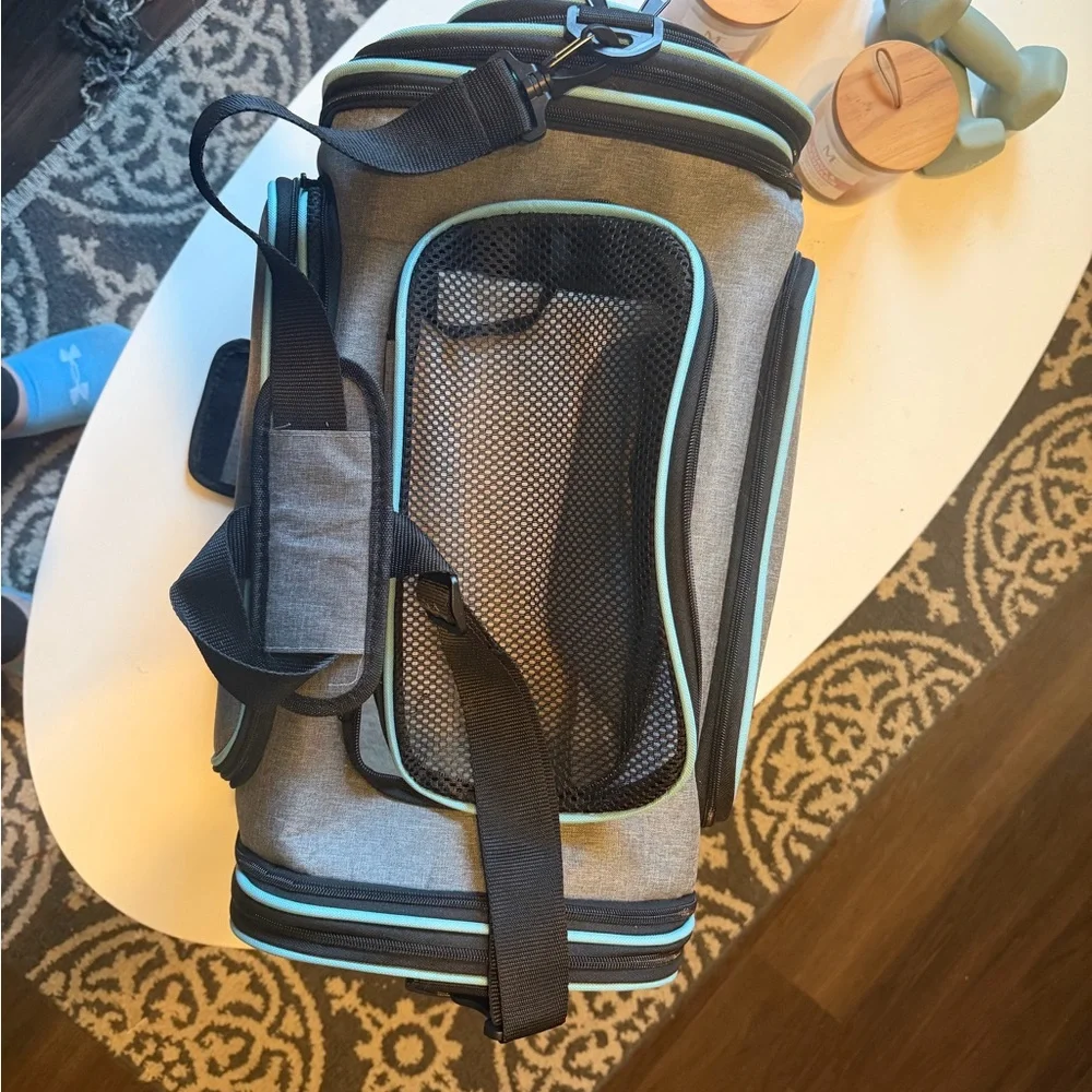 Gray and Light Blue Pet travelBag